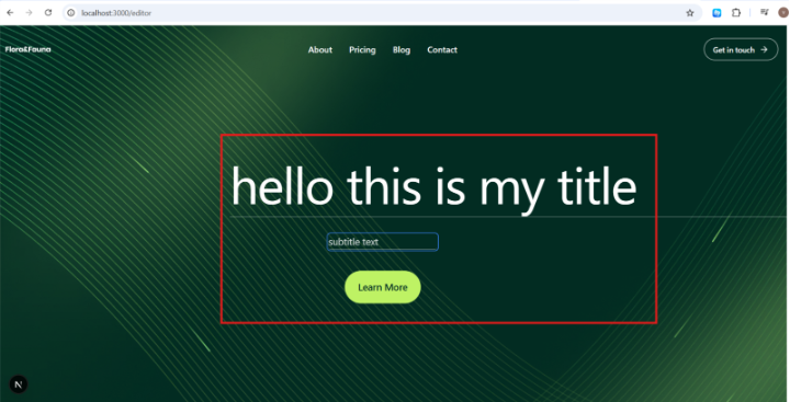 frontend editor page